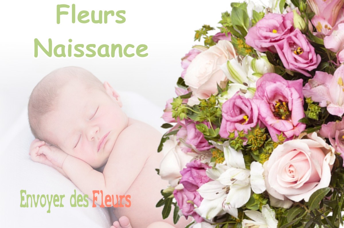 lIVRAISON FLEURS NAISSANCE à TRONVILLE-EN-BARROIS